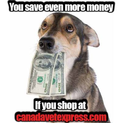 cheap pet meds canada